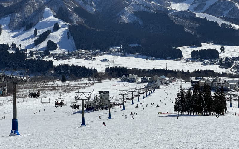 岩原滑雪場的纜車線與雪松林,背景是湯澤市街與遠山