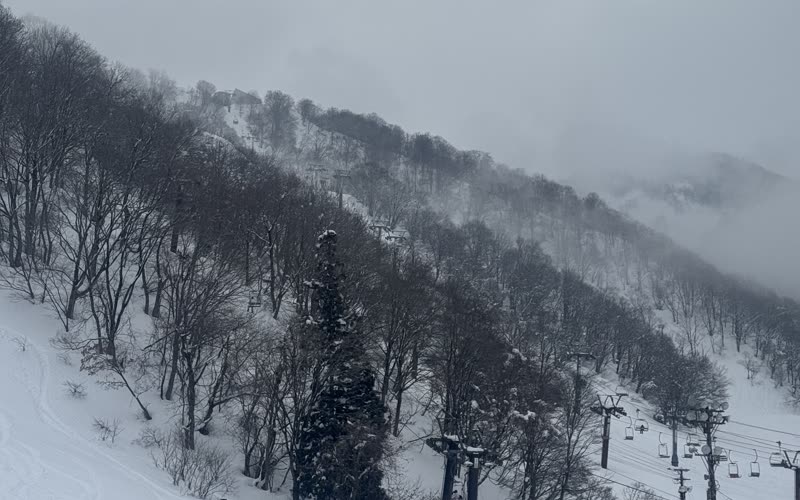 湯澤中里雪場旁被白雪覆蓋的樹林山坡與纜車