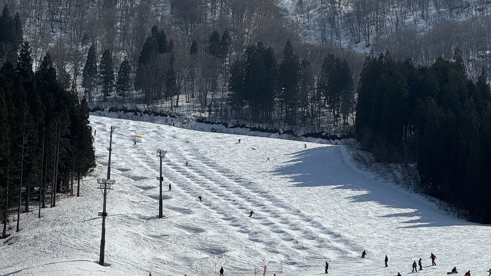 從神立滑雪場高處俯瞰壓雪整齊的雪道，兩側針葉林夾道