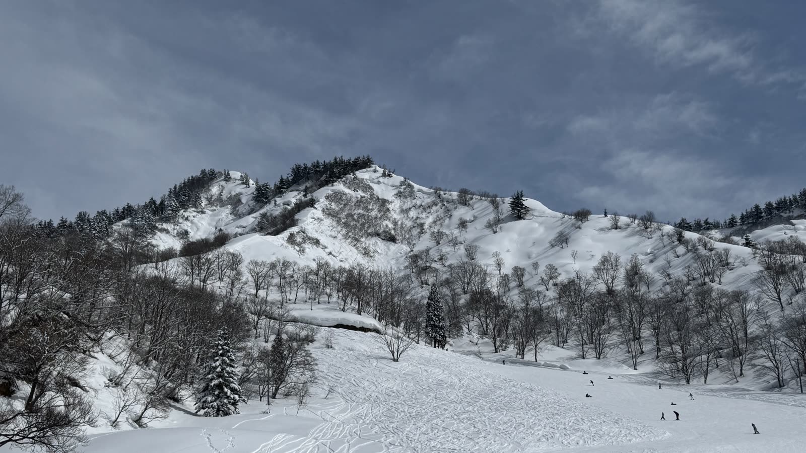 湯澤中里滑雪場的雪道，兩側針葉林夾道，雪道上散布著滑雪與單板的遊客